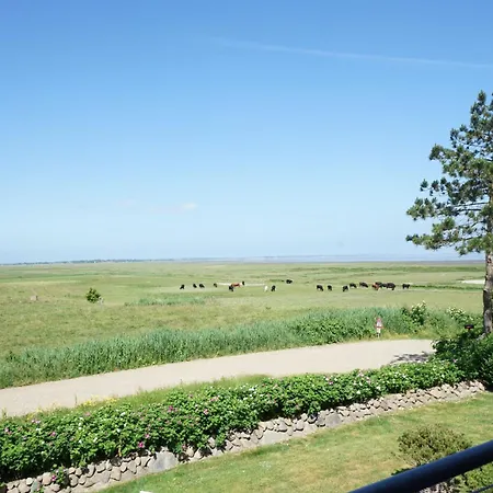 Schoene In Morsum * Morsum (Sylt)